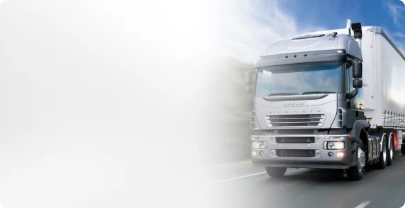 Доставляем по всему миру