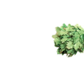 Добавьте ароматы