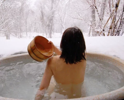 Японская баня Фурако AltWood - галерея, фото 13